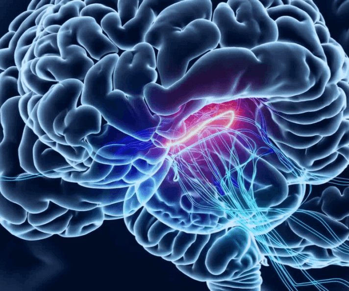 3D illustration of a human brain with a glowing red core representing neural activity and cognitive enhancement from Neuro Energizer.